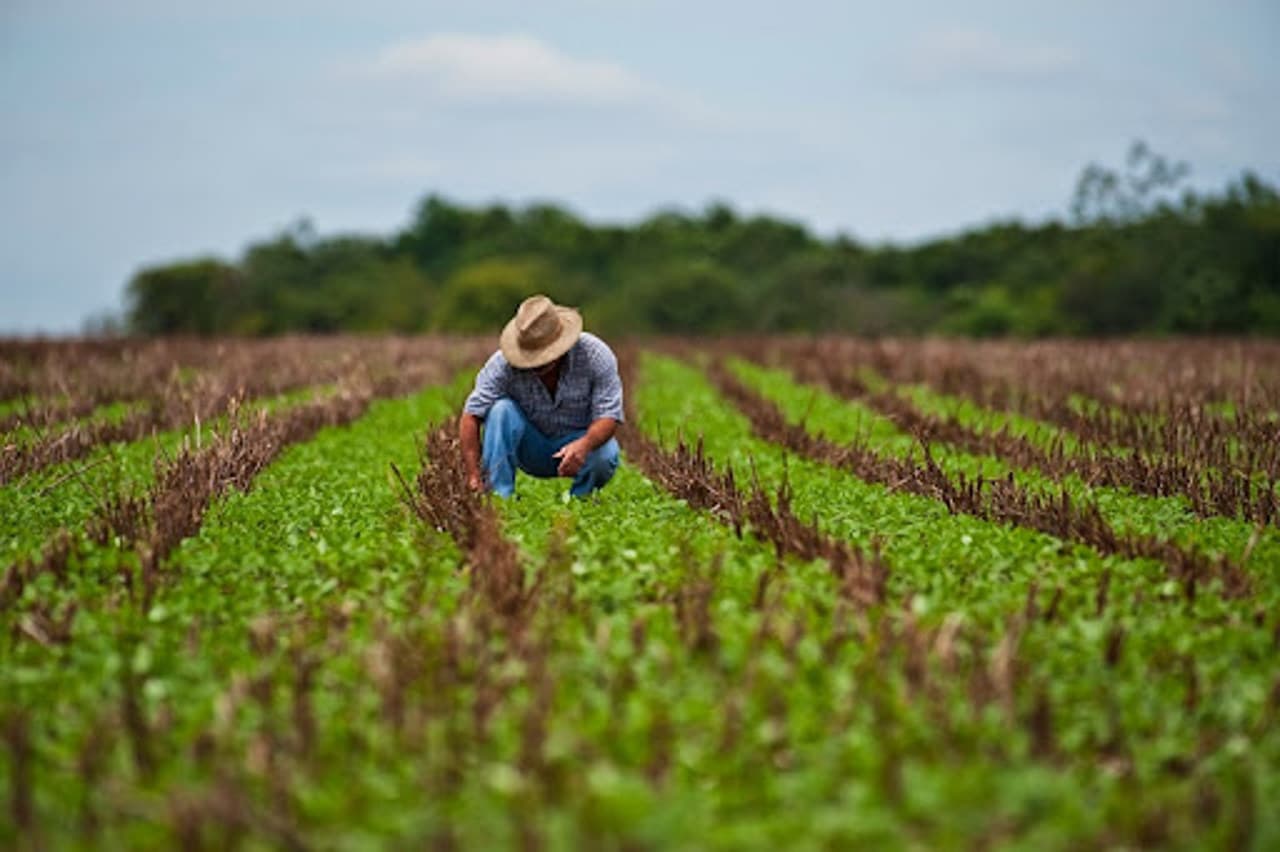 Rambursarea TVA-ului pentru agricultori va fi plafonată până la 200 mii de lei pe lună