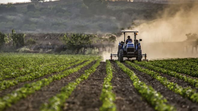 Fermierii resping categoric intenția de majorare până la 20% a cotei TVA: „Va duce la falimentarea și mai rapidă a agricultorilor”