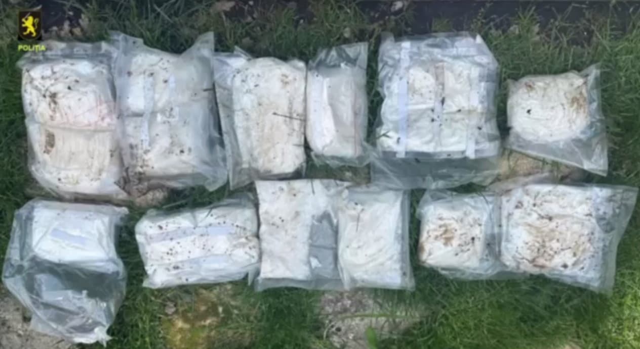 VIDEO // Droguri în valoare de 5 milioane lei, depistate într-o pădure din Durlești. O tânără, reținută