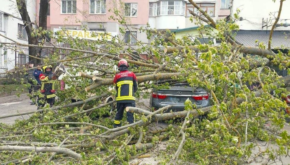 Bilanțul ploilor din ultimele ore: Copaci doborâți peste mașini și o ambulanță blocată în noroi