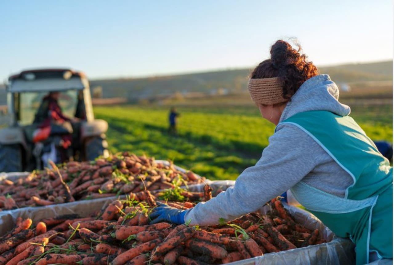 Mai mulți bani pentru agricultură: Fermierii vor beneficia de subvenții de aproape 19 miliarde de lei în următorii cinci ani