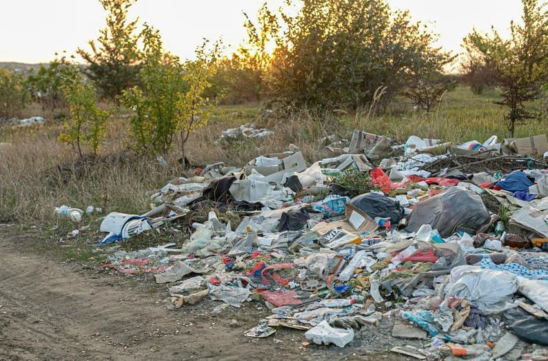 Poluatorii vor fi obligați să repare daunele aduse mediului pe cheltuiala proprie