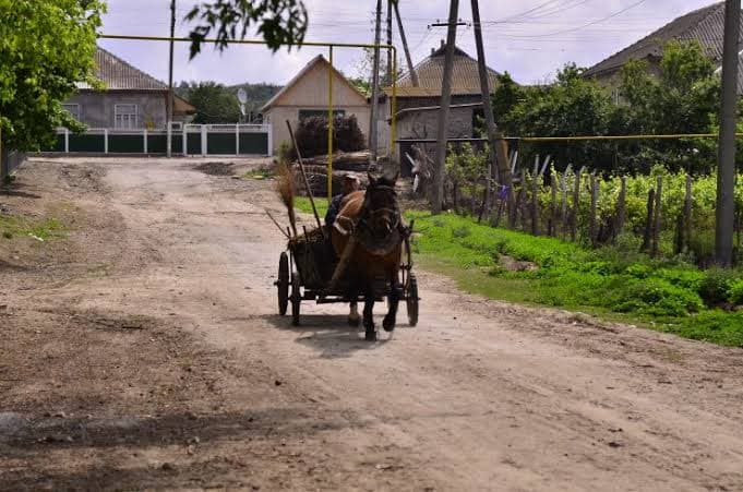 Cancelaria de Stat: Termenul de 31 iulie nu încheie amalgamarea voluntară