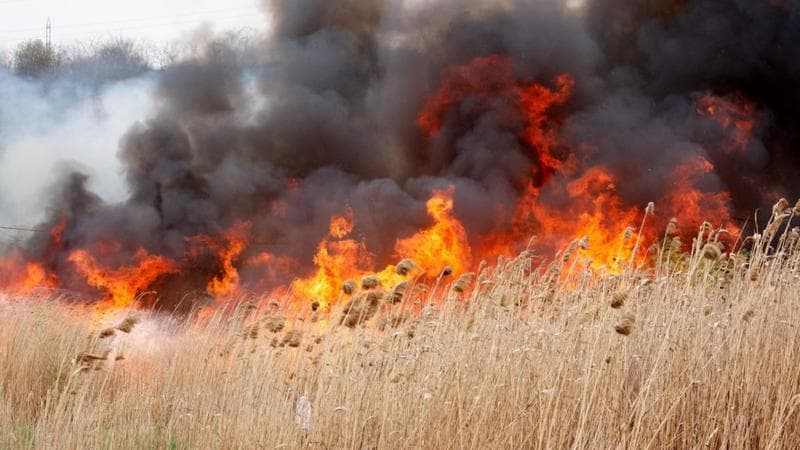 Risc sporit de incendii de vegetație în următoarele cinci zile. Meteorologii au emis cod galben