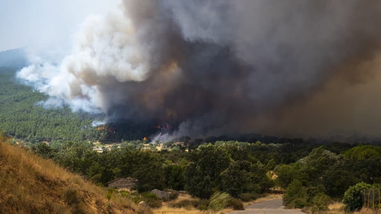 Incendii devastatoare în Spania și Franța. Zeci de mii de oameni au fost evacuați din calea flăcărilor