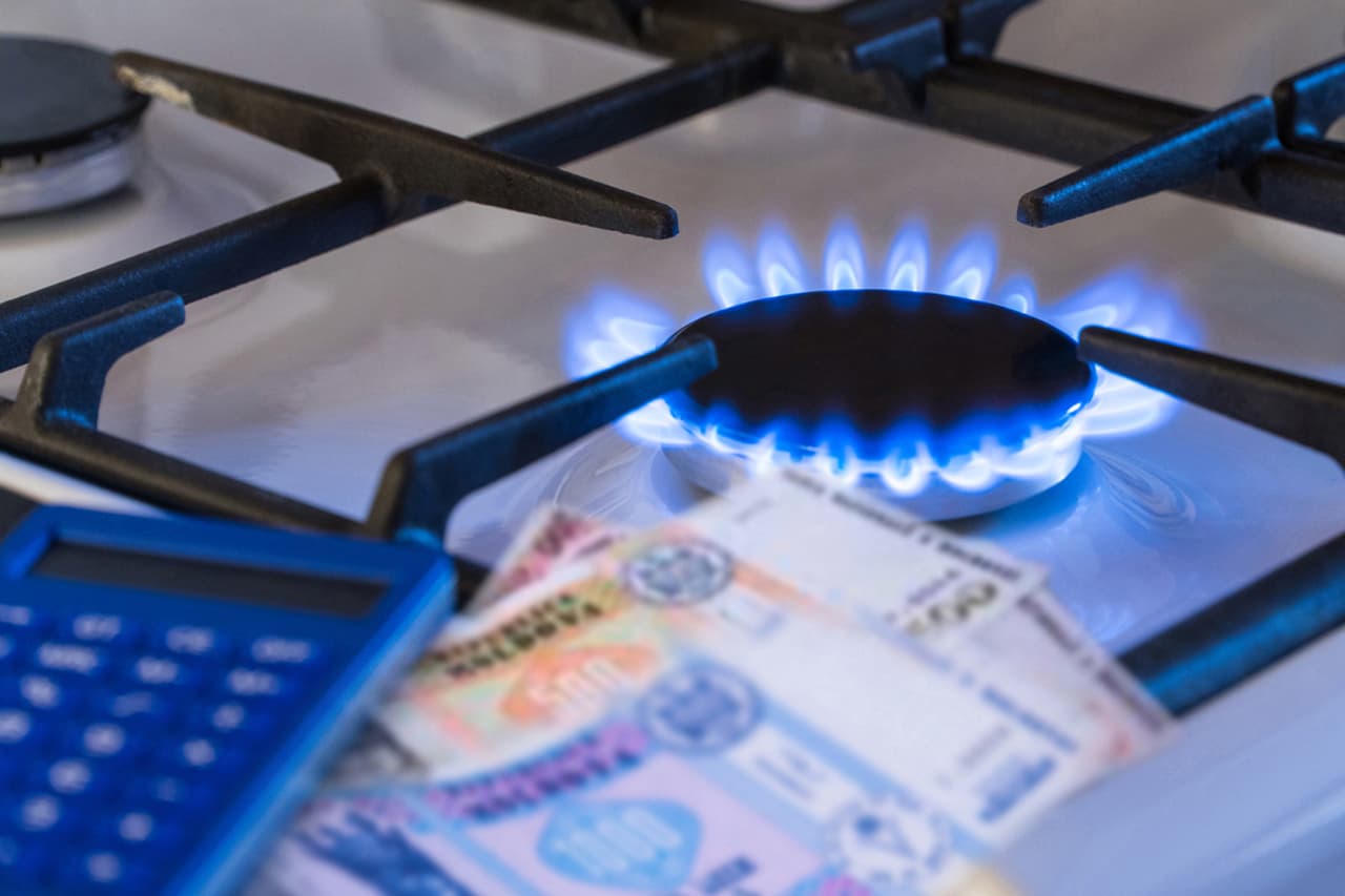 Platforma DA cere instituirea stării de urgență în energetică și ajustarea lunară a tarifului la gaz