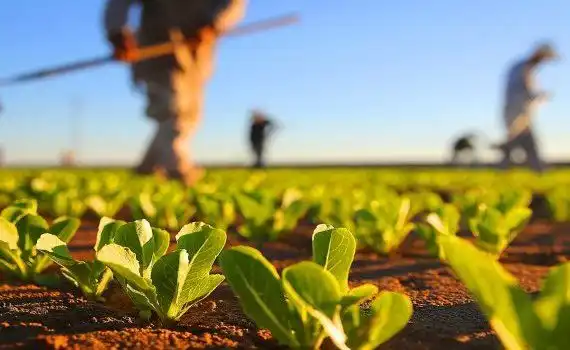 Până la 20 de mii de dolari pentru femeile antreprenori din agricultură. PNUD lansează un apel de finanțare