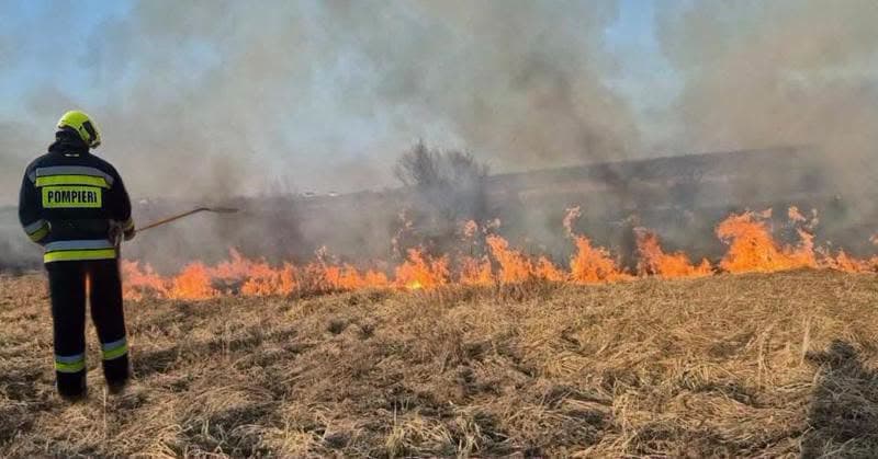 Peste 20 de hectare de vegetație, distruse de flăcări. Pompierii au intervenit în 41 de cazuri