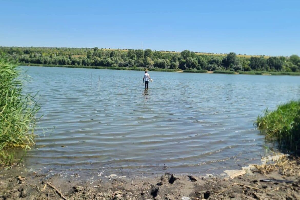 Inspectorii de mediu investighează cauza pieirii peștilor din lacul Dănceni