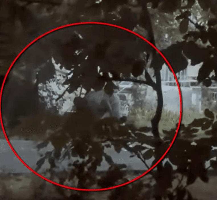 VIDEO // Patru bărbați, suspectați de trafic de droguri prin Telegram, reținuți la Botanica