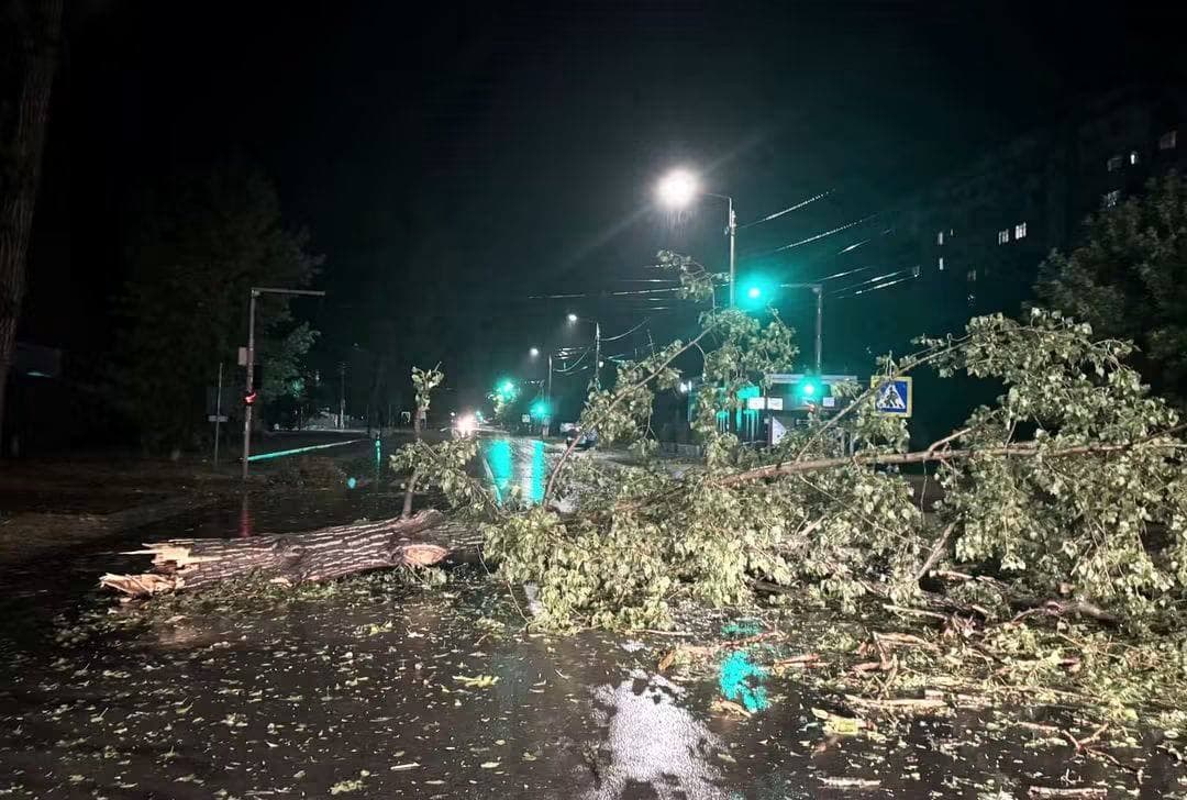 FOTO // Furtuna a provocat pagube la Ungheni. Copaci căzuți și pene de curent