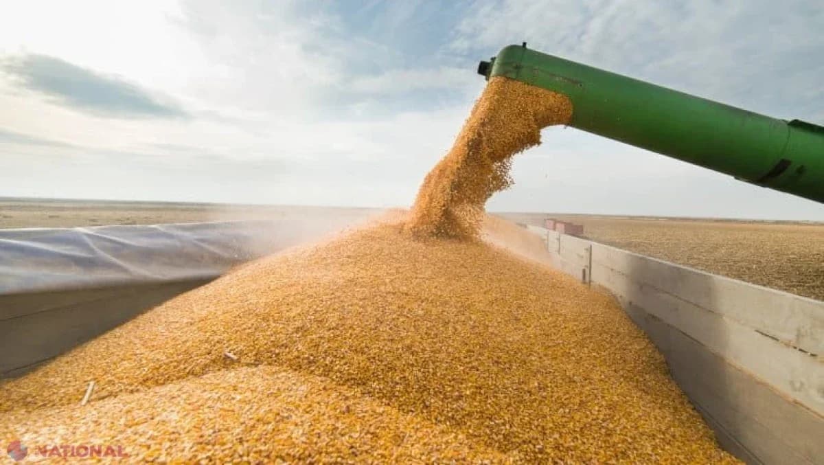 Forța Fermierilor cere prelungirea licențierii importurilor de cereale și oleaginoase și amenință cu proteste
