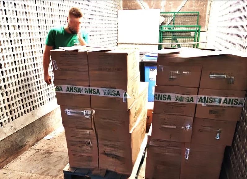 Circa 24 tone de banane alterate și ceai verde cu pesticide, distruse de ANSA