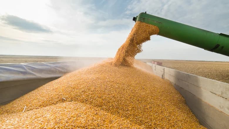 Lituania cere UE să impună sancțiuni asupra cerealelor rusești: Moscova „folosește porturile și infrastructura din Europa”