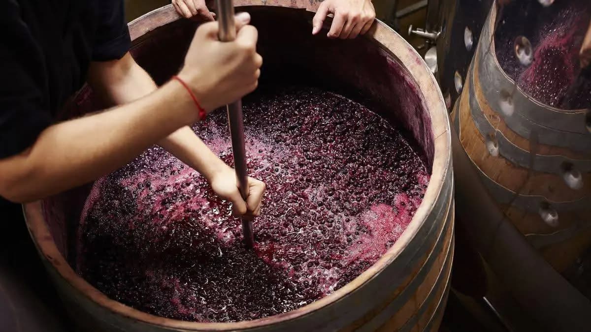 Tragedie la Cantemir. Un bărbat a murit după ce s-ar fi intoxicat cu dioxid de carbon în timpul producerii vinului
