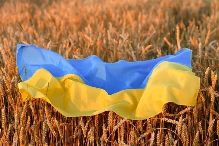 Zelenski cere României, Ungariei, Poloniei şi Slovaciei să permită tranzitul cerealelor ucrainene, în contextul blocadei din Marea Neagră