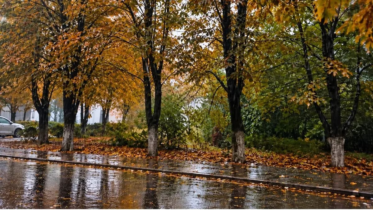 Cod galben de ploi puternice. Meteorologii anunță precipitații abundente timp de 24 de ore