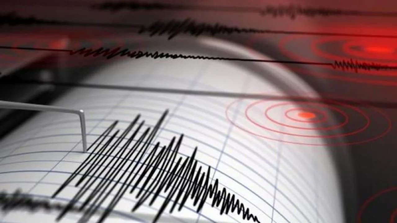 Cutremur cu magnitudinea estimată de 4,9. Seismul s-a simțit și în Republica Moldova