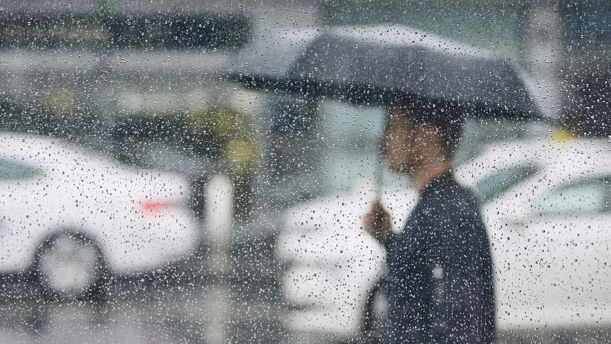 Cod galben de precipitații. Meteorologii anunță ploi puternice în timpul zilei de vineri