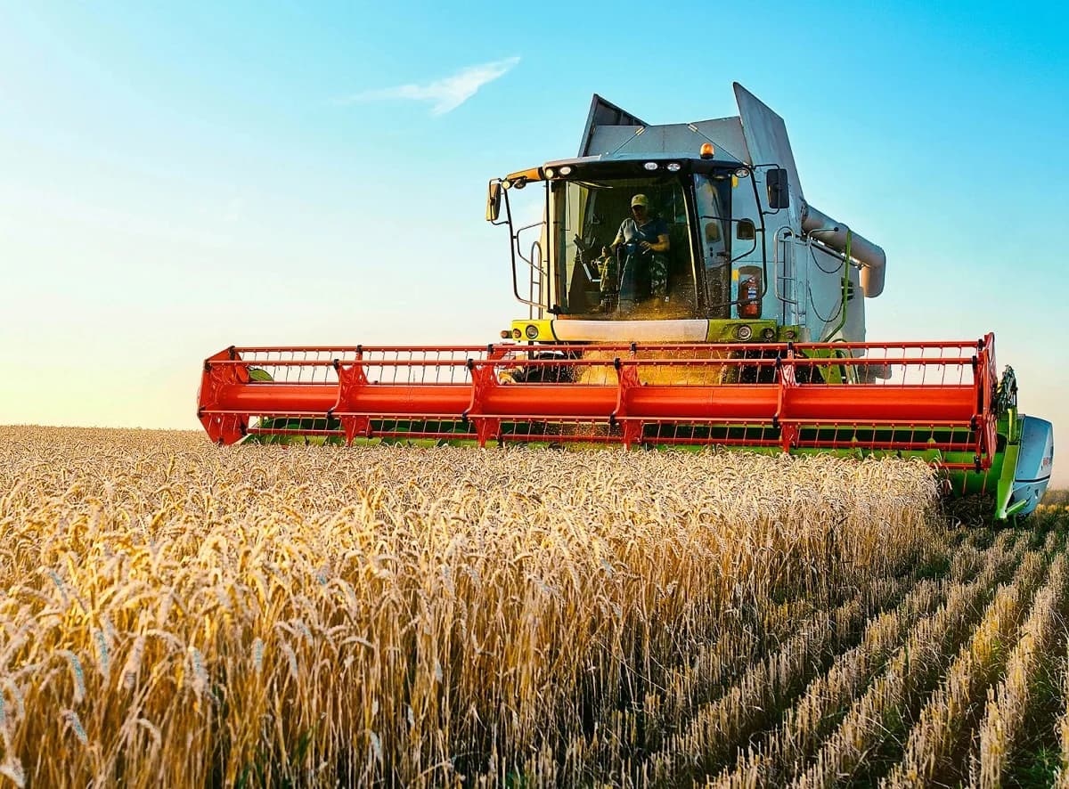 BNS: Producția agricolă a crescut cu 11,5% în primele nouă luni ale anului